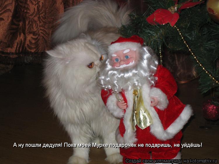 Котоматрица: А ну пошли дедуля! Пока моей Мурке подарочек не подаришь, не уйдёшь!