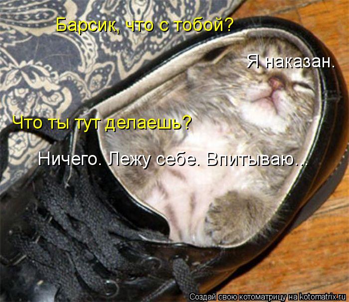 Котоматрица: Барсик, что с тобой? Я наказан. Что ты тут делаешь? Ничего. Лежу себе. Впитываю...