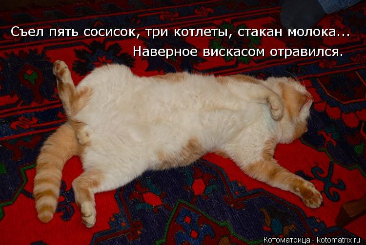 Котоматрица: Съел пять сосисок, три котлеты, стакан молока... Наверное вискасом отравился.