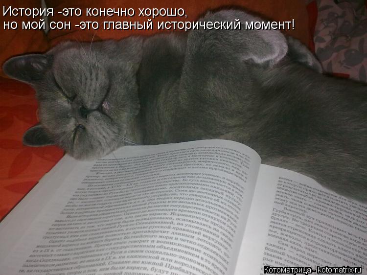 Котоматрица: История -это конечно хорошо, но мой сон -это главный исторический момент!
