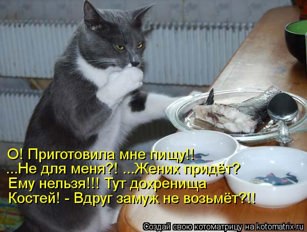 Котоматрица: О! Приготовила мне пищу!! ...Не для меня?! ...Жених придёт? Ему нельзя!!! Тут дохренища Костей! - Вдруг замуж не возьмёт?!!