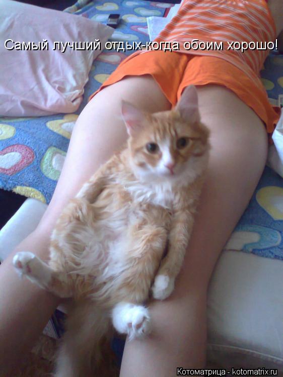 Котоматрица: Самый лучший отдых-когда обоим хорошо!