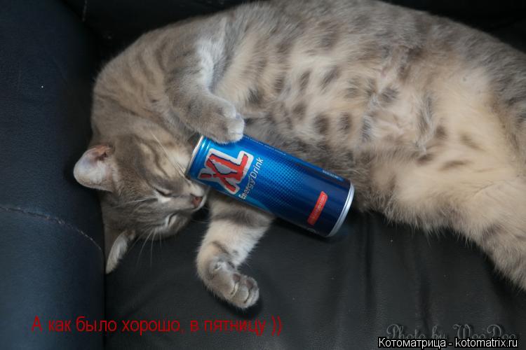 Котоматрица: А как было хорошо, в пятницу ))