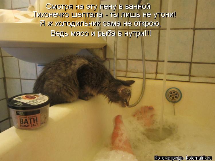 Котоматрица: Смотря на эту пену в ванной Тихонечко шептала - ты лишь не утони! Ведь мясо и рыба в нутри!!! Я ж холодильник сама не открою,