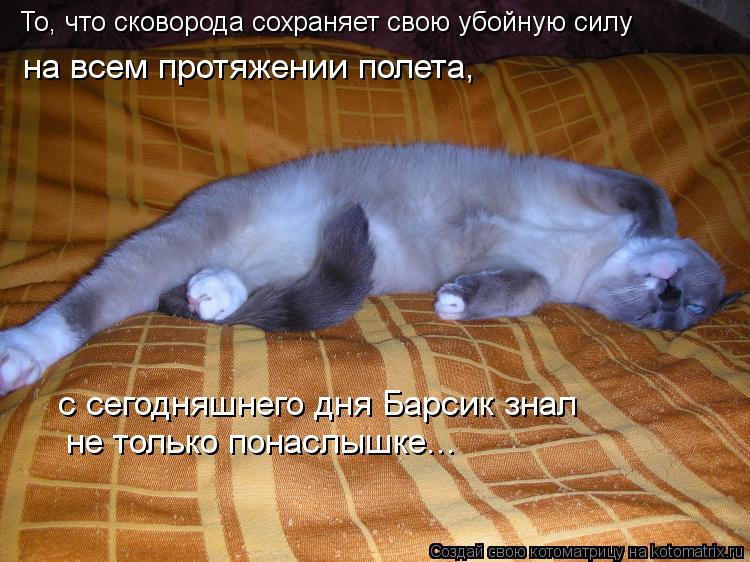 Котоматрица: То, что сковорода сохраняет свою убойную силу на всем протяжении полета, с сегодняшнего дня Барсик знал не только понаслышке...