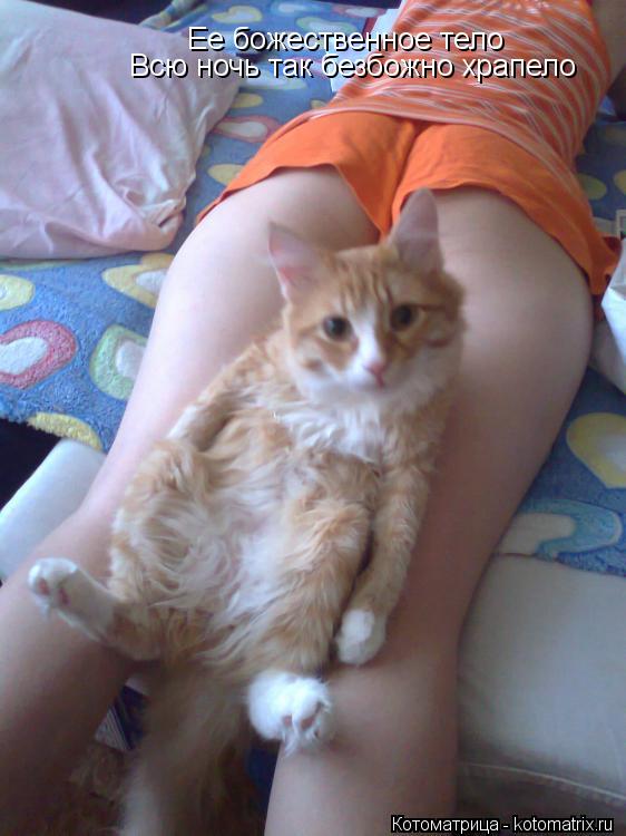Котоматрица: Ее божественное тело Всю ночь так безбожно храпело