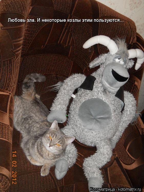 Котоматрица: Любовь зла. И некоторые козлы этим пользуются...