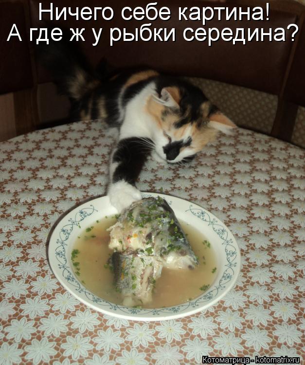 Котоматрица: Ничего себе картина! А где ж у рыбки середина?