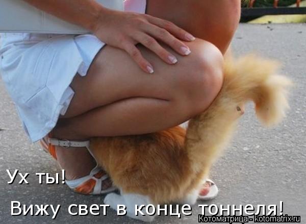 Котоматрица: Ух ты! Вижу свет в конце тоннеля!