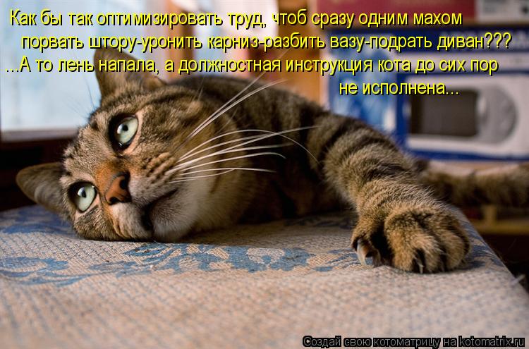 Котоматрица: Как бы так оптимизировать труд, чтоб сразу одним махом порвать штору-уронить карниз-разбить вазу-подрать диван??? ...А то лень напала, а должн