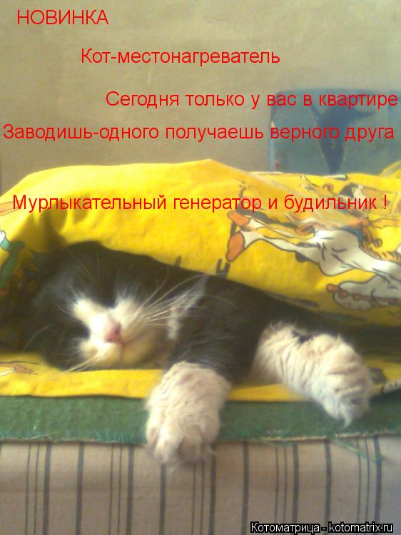 Котоматрица: НОВИНКА Кот-местонагреватель Сегодня только у вас в квартире  Заводишь-одного получаешь верного друга Мурлыкательный генератор и будильн
