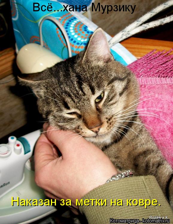 Котоматрица: Всё...хана Мурзику Наказан за метки на ковре.