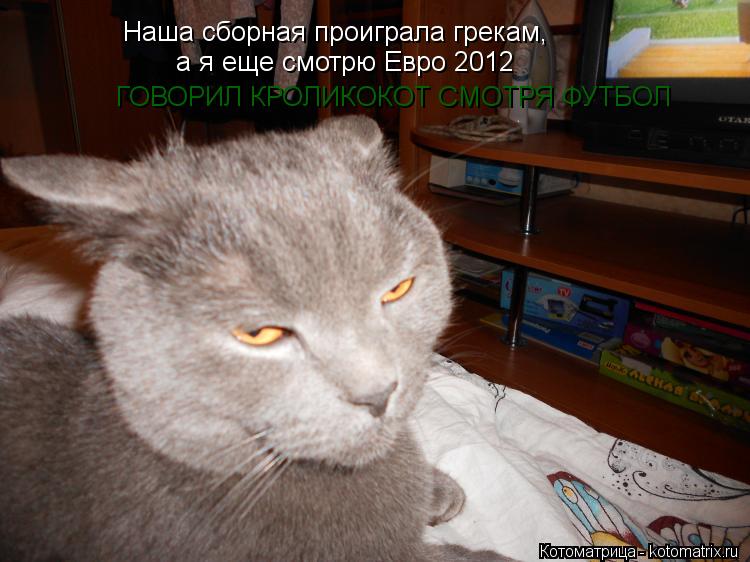Котоматрица: Наша сборная проиграла грекам,  а я еще смотрю Евро 2012 ГОВОРИЛ КРОЛИКОКОТ СМОТРЯ ФУТБОЛ