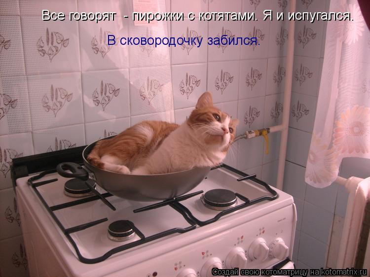 Котоматрица: Все говорят  - пирожки с котятами. Я и испугался. В сковородочку забился.