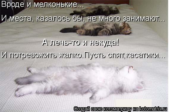 Котоматрица: Вроде и мелконькие... И места, казалось бы, не много занимают... А лечь-то и некуда! И потревожить жалко.Пусть спят,касатики...
