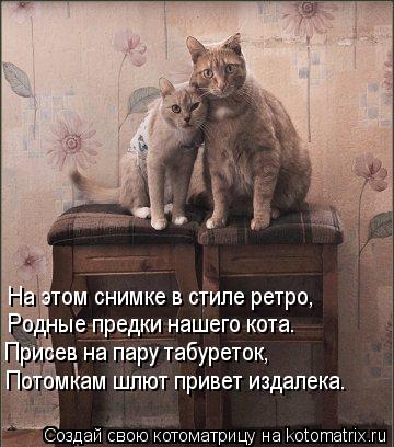 Котоматрица: Потомкам шлют привет издалека. Присев на пару табуреток, Родные предки нашего кота. На этом снимке в стиле ретро,