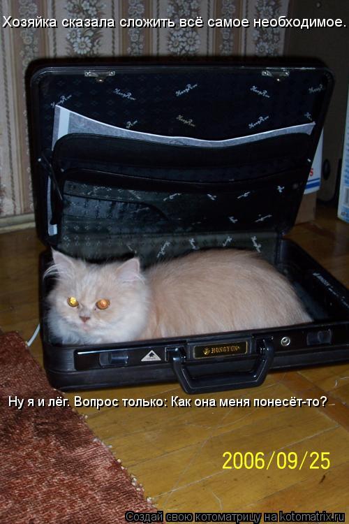 Котоматрица: Хозяйка сказала сложить всё самое необходимое.  Ну я и лёг. Вопрос только: Как она меня понесёт-то?