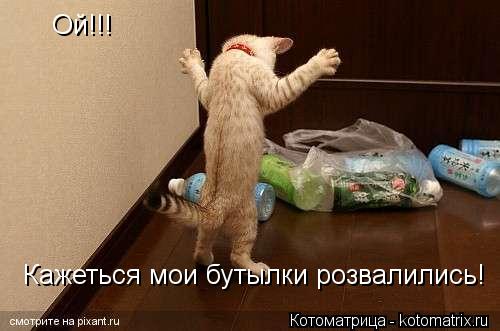 Котоматрица: Ой!!! Кажеться мои бутылки розвалились!