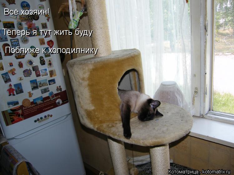 Котоматрица: Всё хозяин! Теперь я тут жить буду Поближе к холодилнику