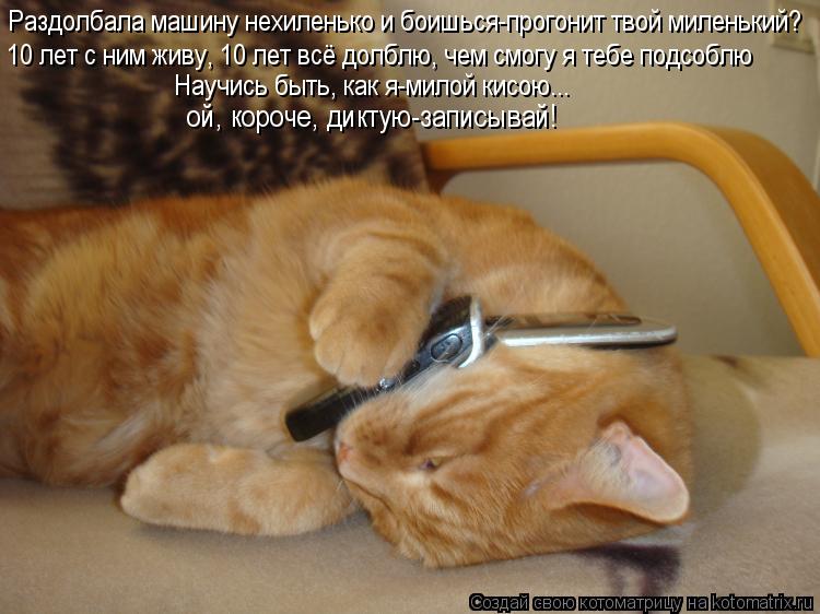 Котоматрица: Раздолбала машину нехиленько и боишься-прогонит твой миленький? 10 лет с ним живу, 10 лет всё долблю, чем смогу я тебе подсоблю Научись быть, к