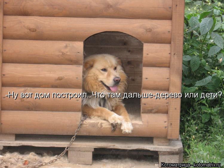 Котоматрица: -Ну вот дом построил..Что там дальше-дерево или дети?