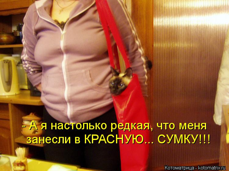 Котоматрица: - А я настолько редкая, что меня занесли в КРАСНУЮ... СУМКУ!!!