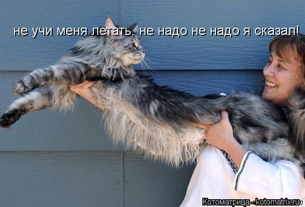 Котоматрица: не учи меня летать, не надо не надо я сказал!