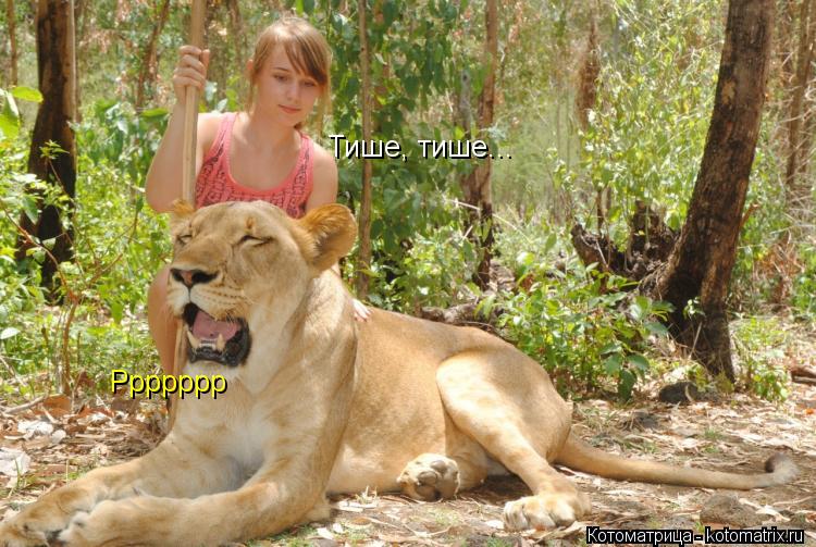 Котоматрица: Ррррррр Тише, тише...
