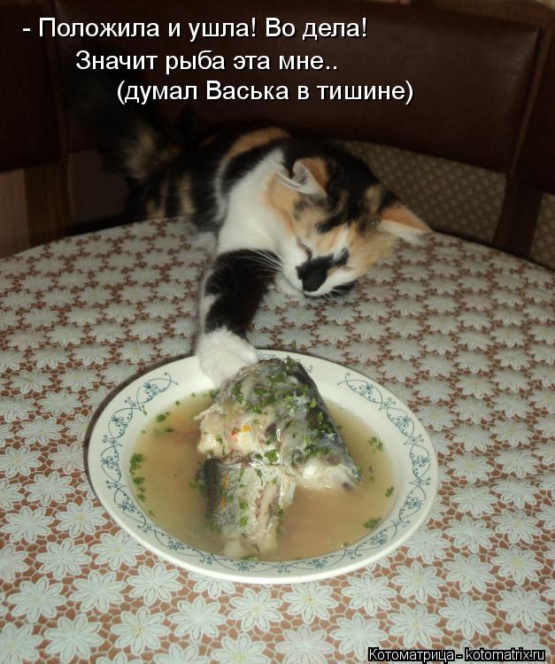 Котоматрица: - Положила и ушла! Во дела!  Значит рыба эта мне.. (думал Васька в тишине)
