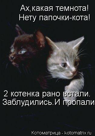 Ах,какая темнота! Нету папочки-кота! 2 котенка рано встали. Заблудились.И пропали.... Котоматрица: Ах,какая темнота! Нету папочки-кота! 2 котенка рано встали. Заблудились.И пропали.