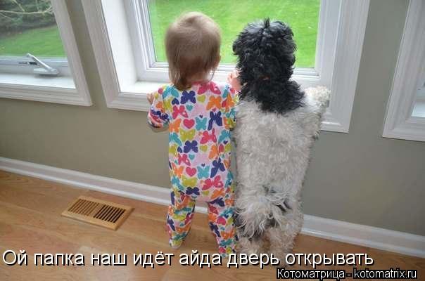 Котоматрица: Ой папка наш идёт айда дверь открывать