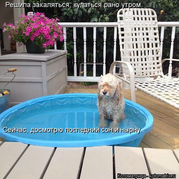 Котоматрица: Решила закаляться, купаться рано утром.  Сейчас, досмотрю последний сон и нырну.