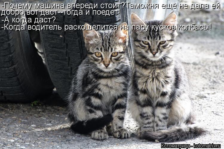Котоматрица: -Почему машина впереди стоит?Таможня ещё не дала ей добро,вот даст--тогда и поедет! -А когда даст? -Когда водитель раскошелится на пару кусков