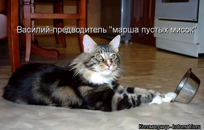 Котоматрица: Василий-предводитель "марша пустых мисок"