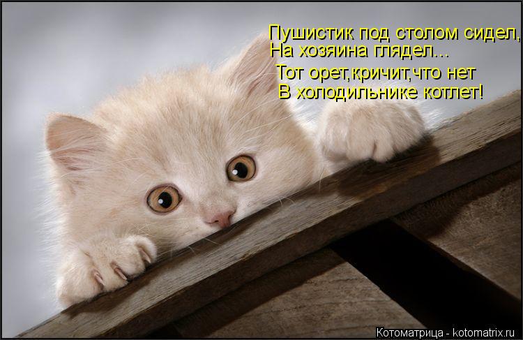 Пушистик под столом сидел, На хозяина глядел... Тот орет,кричит,что нет В холодильнике котлет!... Котоматрица: Пушистик под столом сидел, На хозяина глядел... Тот орет,кричит,что нет В холодильнике котлет!