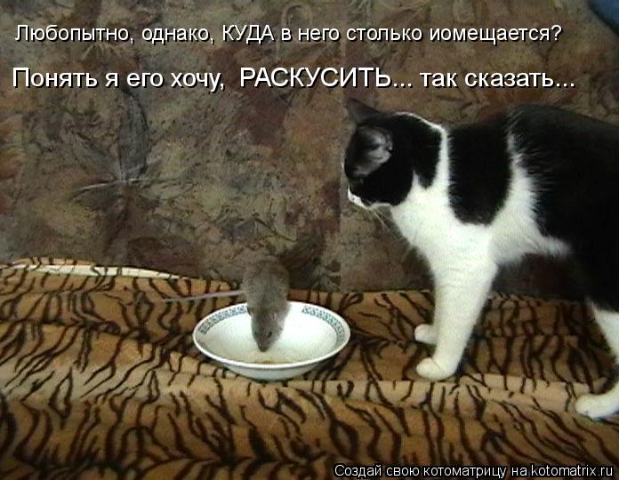 Котоматрица: Понять я его хочу,  РАСКУСИТЬ... так сказать... Любопытно, однако, КУДА в него столько иомещается?