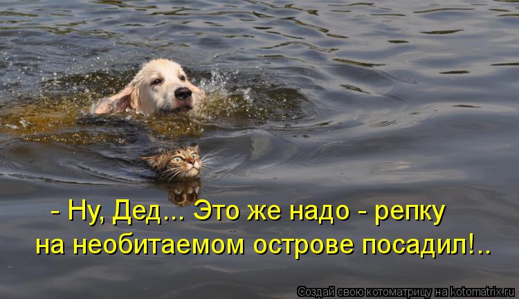 Котоматрица: - Ну, Дед... Это же надо - репку на необитаемом острове посадил!..