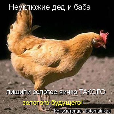 Котоматрица: Неуклюжие дед и баба лишили золотое яичко ТАКОГО  золотого будущего!..