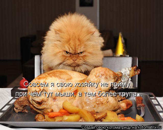 Котоматрица: Совсем я свою хозяйку не пойму, при чем тут мыши, а тем более крупа...