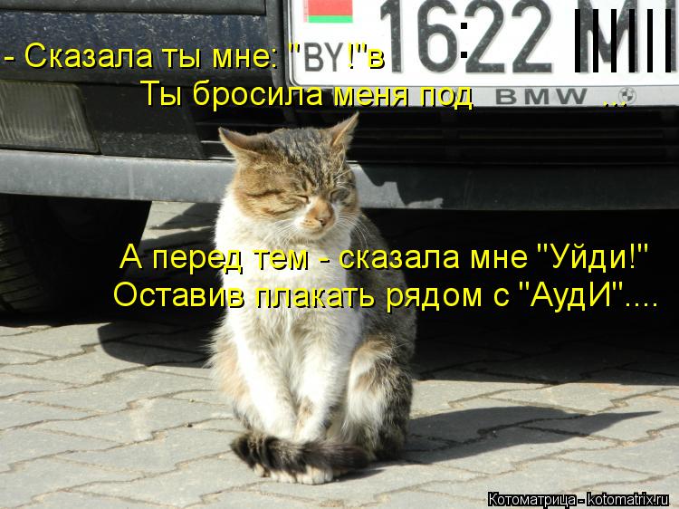 Котоматрица: - Сказала ты мне: "     !"в Ты бросила меня под              ... А перед тем - сказала мне "Уйди!" Оставив плакать рядом с "АудИ".... :     ||||||||