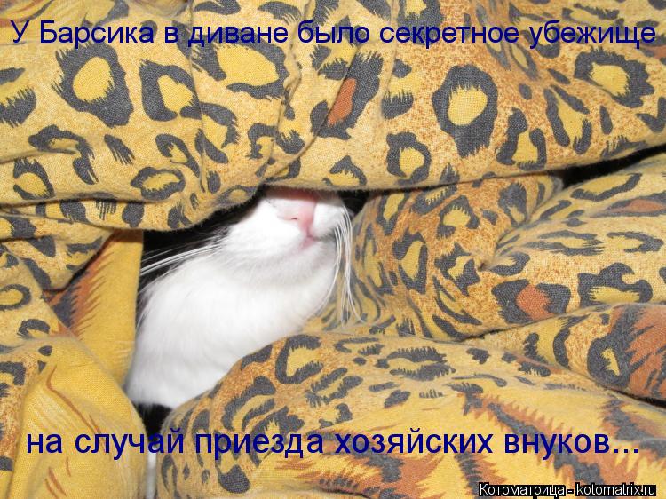 Котоматрица: У Барсика в диване было секретное убежище на случай приезда хозяйских внуков...