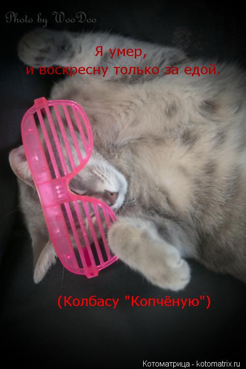 Котоматрица: Я умер, и воскресну только за едой. (Колбасу "Копчёную")
