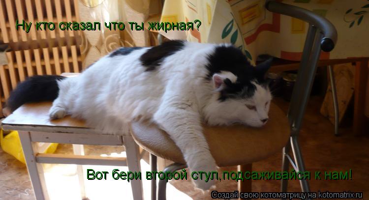 Котоматрица: Ну кто сказал что ты жирная? Вот бери второй стул,подсаживайся к нам!