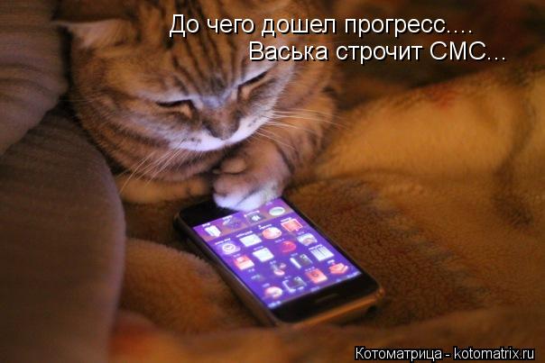 Котоматрица: До чего дошел прогресс.... Васька строчит СМС...