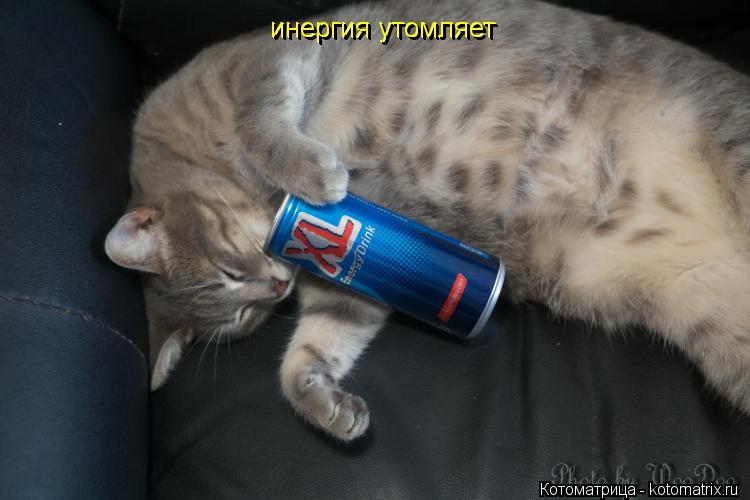 Котоматрица: инергия утомляет инергия утомляет