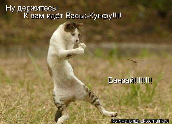 Котоматрица: Ну держитесь! К вам идёт Васьк-Кунфу!!!! Банзай!!!!!!!!