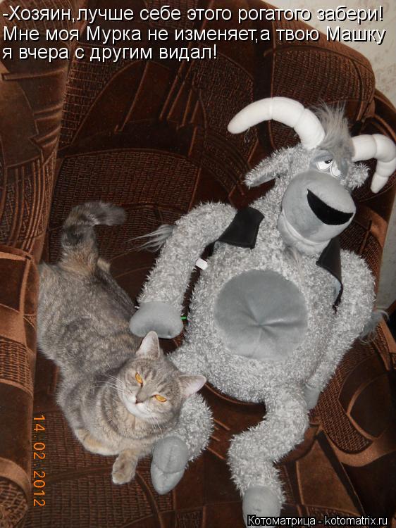 Котоматрица: -Хозяин,лучше себе этого рогатого забери! Мне моя Мурка не изменяет,а твою Машку я вчера с другим видал!