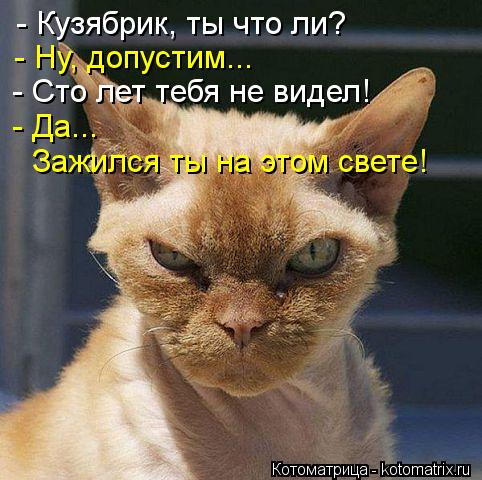 - Кузябрик, ты что ли? - Ну, допустим... - Сто лет тебя не видел! - Да... Зажился ты на этом свете!... Котоматрица: - Кузябрик, ты что ли? - Ну, допустим... - Сто лет тебя не видел! - Да... Зажился ты на этом свете!