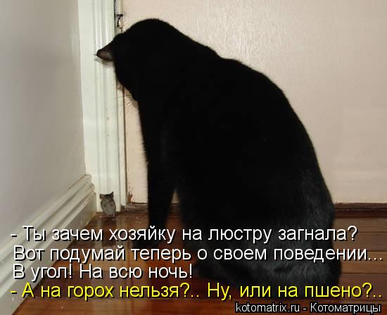 - Ты зачем хозяйку на люстру загнала? Вот подумай теперь о своем поведении... В угол! На всю ночь! - ... Котоматрица: - Ты зачем хозяйку на люстру загнала? Вот подумай теперь о своем поведении... В угол! На всю ночь! - А на горох нельзя?.. Ну, или на пшено?..