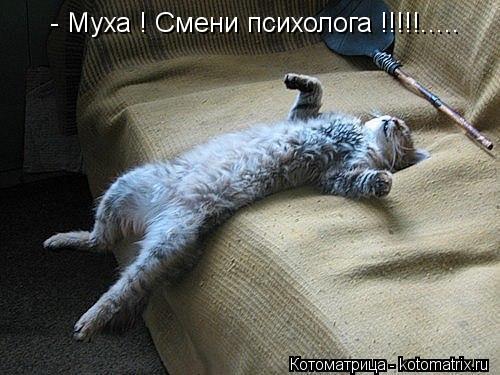 Котоматрица: - Муха ! Смени психолога !!!!!.....
